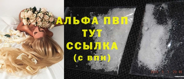 трава Архангельск